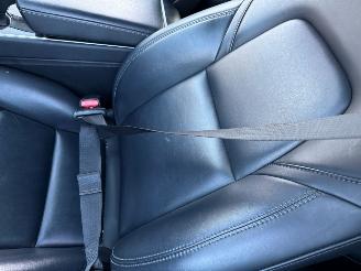 Tesla Model 3 Long Range AWD 75 kWh Pano Leder NAP picture 12