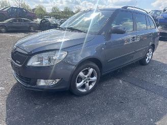 Autoverwertung Skoda Fabia  2011/1