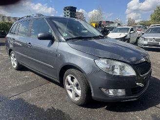 Skoda Fabia  picture 7