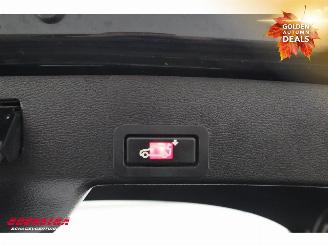 BMW X6 M50d Memory Leder Navi Clima Cruise SHZ PDC AHK picture 23