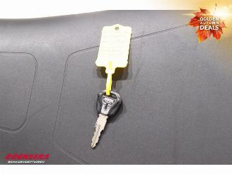 Triumph Tiger 900 Rally Pro ABS SHZ Heizgriffe Cruise picture 23