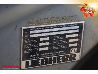 Liebherr  A916 LITRONIC SMP Tiltrotator picture 38