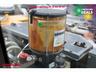 Liebherr  A916 LITRONIC SMP Tiltrotator picture 33