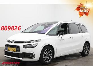Auto incidentate Citroën Grand C4 SpaceTourer 1.2 PureTech Bns 7-Pers. Navi Clima Cruise Camera PDC AHK 46.725 km! 2020/9
