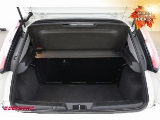 Fiat Punto Evo 1.2 Pop Airco AHK picture 24