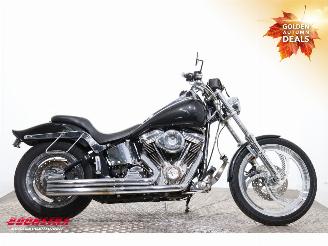 Harley-Davidson  FLSTF Fat Boy picture 7