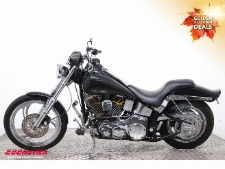 Harley-Davidson  FLSTF Fat Boy picture 5