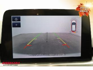 Ford Focus 1.5 EcoBlue Titanium X Clima Navi Camera Virtual picture 33