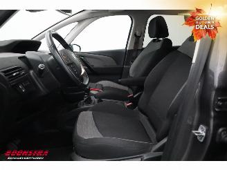Citroën Grand C4 SpaceTourer 1.2 P.Tech Business ACC Navi Camera PDC picture 9