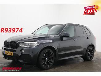 occasione veicoli commerciali BMW  XDrive30d VAN M-Sport LED Memory H/K AHK SHZ 2017/3