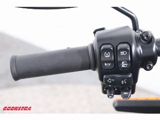 Harley-Davidson  LiveWire 5HD BTW! ABS LED Bluetooth Cruise picture 21