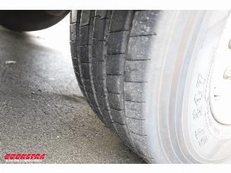 Schmitz Cargobull  SKO Thermo King SLXi 300 Dhollandia 2X Lift BY 2020 picture 37