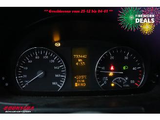 Mercedes Sprinter 313 CDI Aut. Denso SF2 Airco AHK picture 19