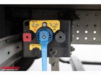 Schmitz Cargobull  SCB*S3 Carrier Vector HE19MT MultiTemp Rohrbahn Fleisch picture 19