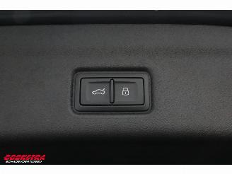 Audi Q6 Quattro 100 kWh S-Line Matrix Pano B&O Pass. Display 360° Memory HUD picture 37