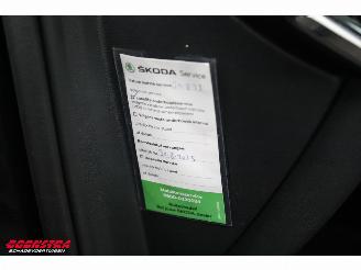 Skoda Enyaq 80 LED ACC Memory Leder LRHZ Camera AHK picture 31