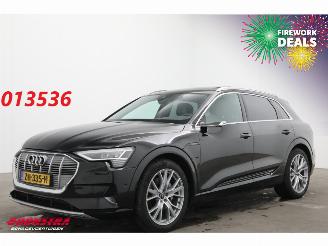 Auto incidentate Audi E-tron 55 Quattro MirrorCam 360° Memory SHZ AHK 2019/5