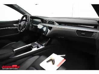 Audi E-tron 55 Quattro MirrorCam 360° Memory SHZ AHK picture 11