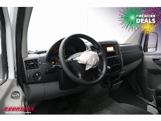 Mercedes Sprinter 316 NGT Aut. CNG Dhollandia LBW picture 23