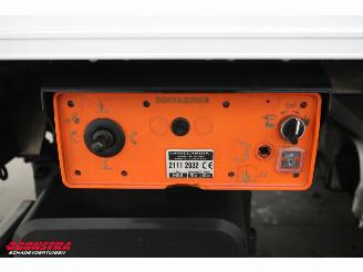 Mercedes Sprinter 314 CDI LBW Bak-Klep Dhollandia Airco Camera picture 17