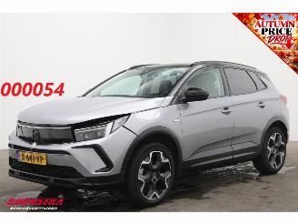 Vaurioauto  passenger cars Opel Grandland 1.6 Turbo Plug-In Hybrid GS LED ACC Apple/Android LRHZ AHK 2024/2