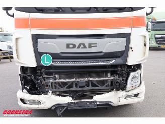 DAF XF 480 LBW Bak-Klep LBW Dhollandia Leder 6X2 picture 6