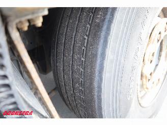 DAF XF 480 LBW Bak-Klep LBW Dhollandia Leder 6X2 picture 45