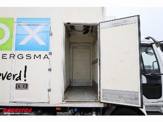 Renault Midlum 220.12 Kuhlkoffer Thermo King Dhollandia LBW Euro 5 picture 9