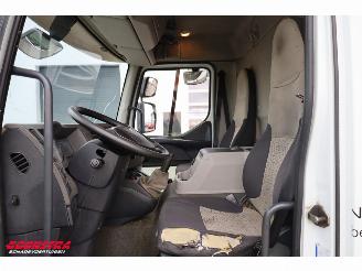 Renault Midlum 220.12 Kuhlkoffer Thermo King Dhollandia LBW Euro 5 picture 19