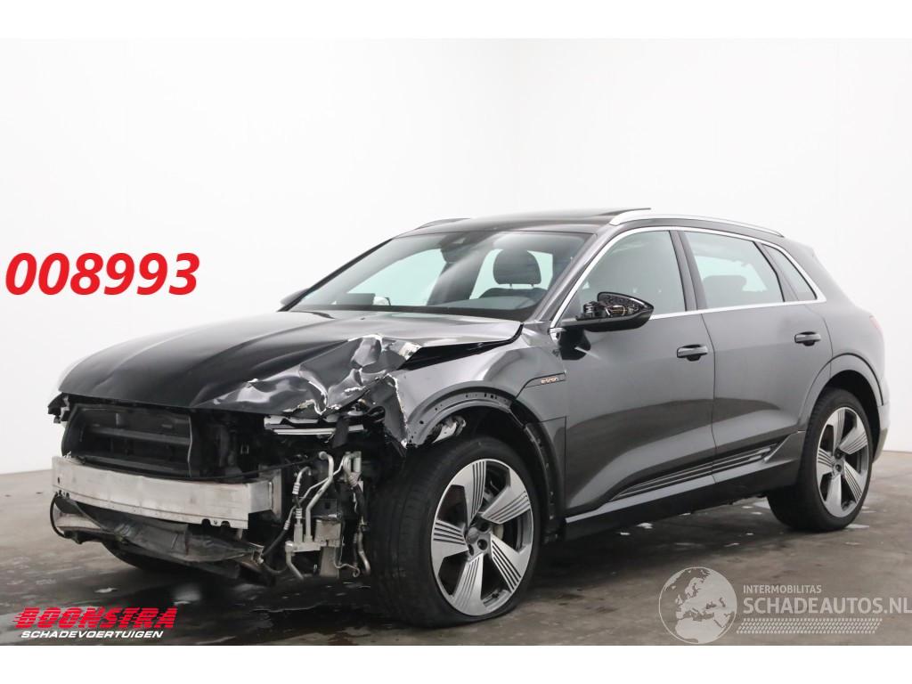 Audi E-tron 55 quattro 95 kWh Pano LED Cruise SHZ PDC