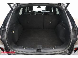 Ford Kuga 2.5 PHEV ST-Line X LED ACC Apple/Android Camera AHK picture 31