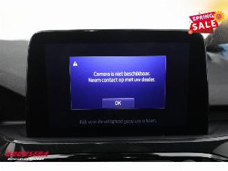 Ford Kuga 2.5 PHEV ST-Line X LED ACC Apple/Android Camera AHK picture 23