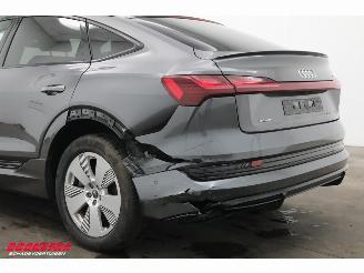 Audi E-tron 55 quattro edition 95 kWh LED ACC Memory HUD Camera SHZ picture 6