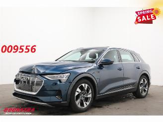 škoda osobní automobily Audi E-tron 55 quattro advanced 95 kWh LED Virtual Cruise PDC 2019/12