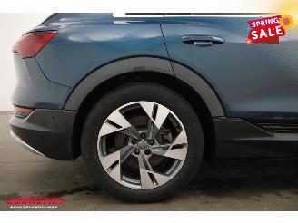 Audi E-tron 55 quattro advanced 95 kWh LED Virtual Cruise PDC picture 6