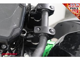 Kawasaki  Z500 SE ABS LED picture 23