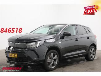 Avarii autoturisme Opel Grandland 1.6 Turbo Plug-In Hybrid Elegance LED ACC 360° LRHZ AHK 2023/1