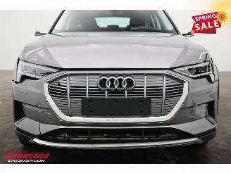 Audi E-tron 55 quattro Advanced 95 kWh MirrorCam LED ACC Leder Camera SHZ picture 6
