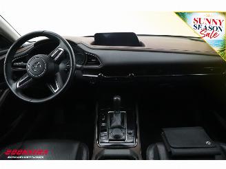 Mazda CX-30 2.0 e-SkyActiv-X M Hybrid Luxury LED ACC Bose Memory LRHZ AHK picture 8