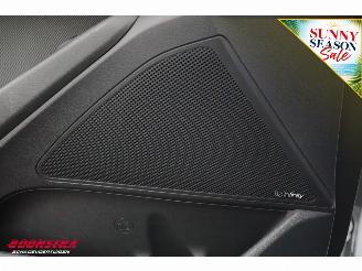 Hyundai Ioniq Comfort EV Infinity ACC Navi Clima Camera picture 22