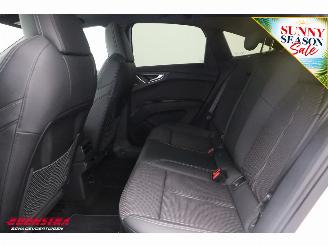 Audi Q4 55 quattro S Edition 82 kWh Pano LED ACC Memory Camera AHK picture 21