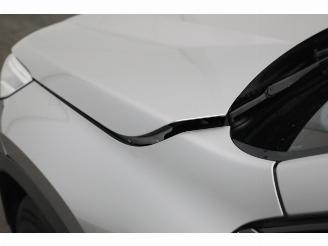 BMW iX1 xDrive30 67 kWh LED ACC Apple/Android Camera SHZ picture 12