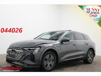 damaged passenger cars Audi Q8 55 quattro Advanced 115 kWh Pano LED ACC HUD 360° Ventilatie LRHZ 2023/12