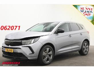 Auto incidentate Opel Grandland 1.2 Turbo Edition Apple/Android Virtual Cruise LRHZ SHZ AHK 2024/3