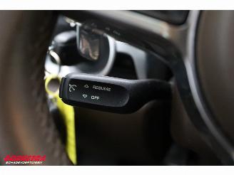 Porsche Cayenne 3.0 S E-Hybrid Pano PDLS PASM Leder Cruise SHZ picture 20