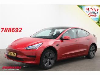 Voiture accidenté Tesla Model 3 Standard RWD Plus 60 kWh Pano LED ACC Leder Camera 2023/5