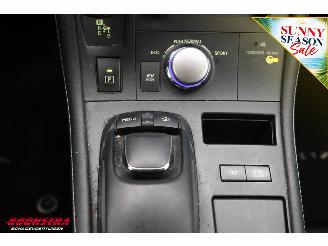 Lexus Ct 200h Business Line Pro Navi Clima Cruise Camera PDC picture 28