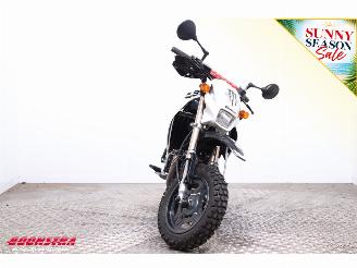 Kawasaki  KSR 110 Nojima Exhaust picture 6