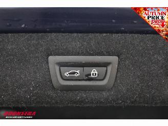 BMW 5-serie 530d Aut. xDrive High Executive M Sport H/K ACC Navi Clima Memory SHZ PDC picture 54