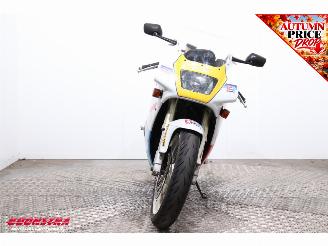 Suzuki RGV 250 VJ22 Pepsi picture 6